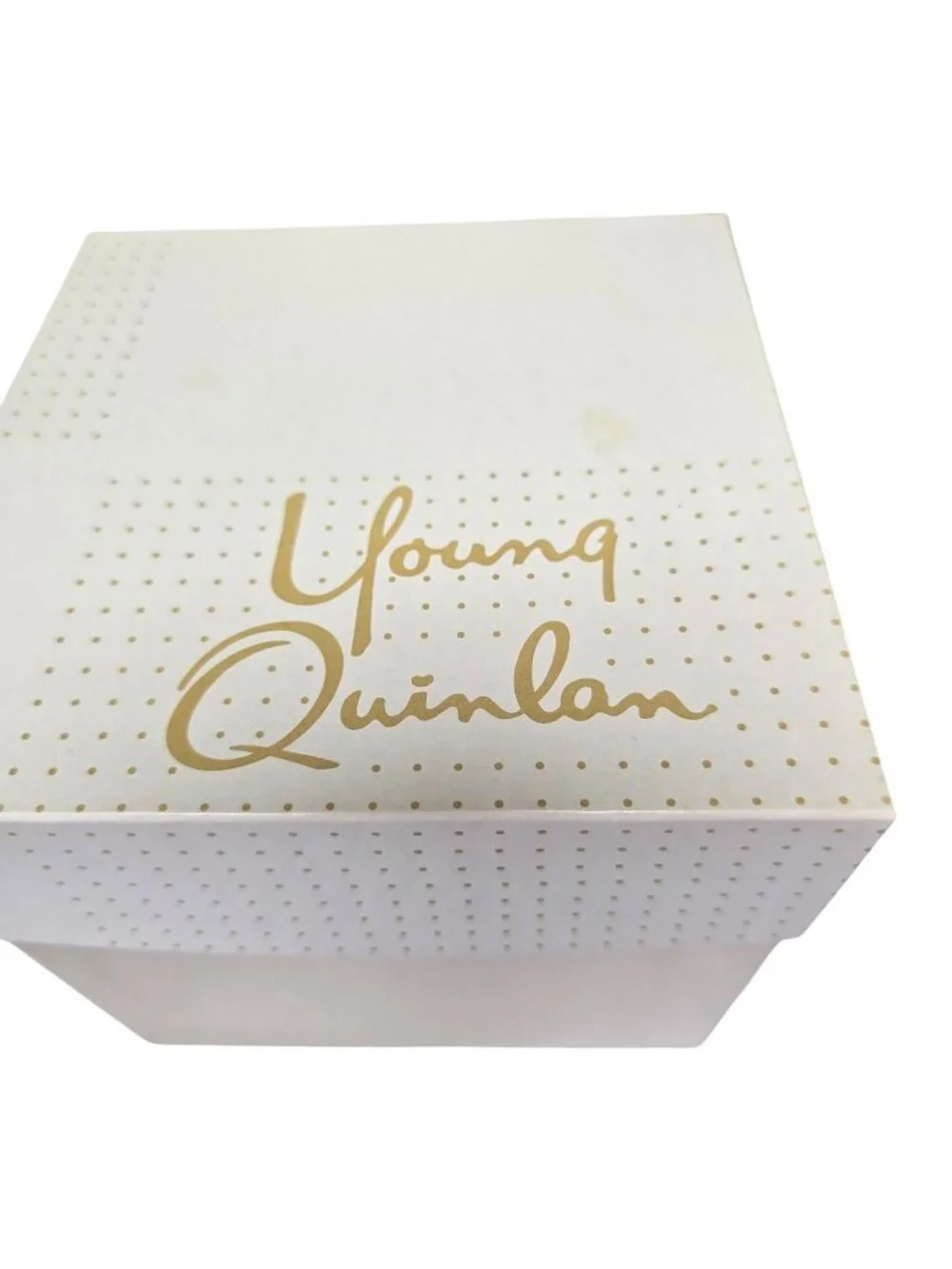 Vintage Young & Quinlan Dept Store Box Minneapolis Advertising 6.25
